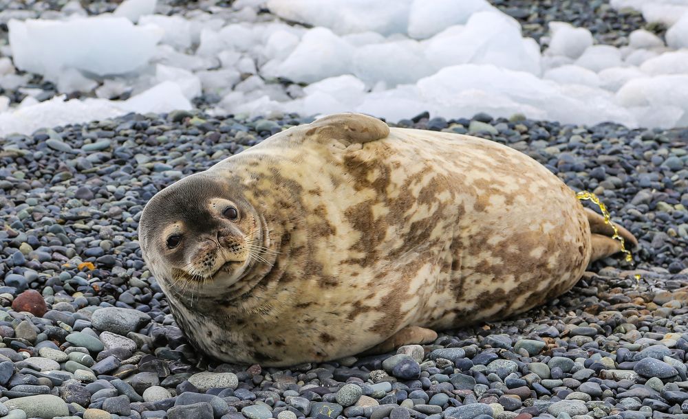 Не парься по пустякам