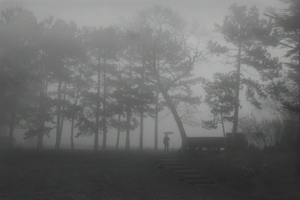 Человек дождя