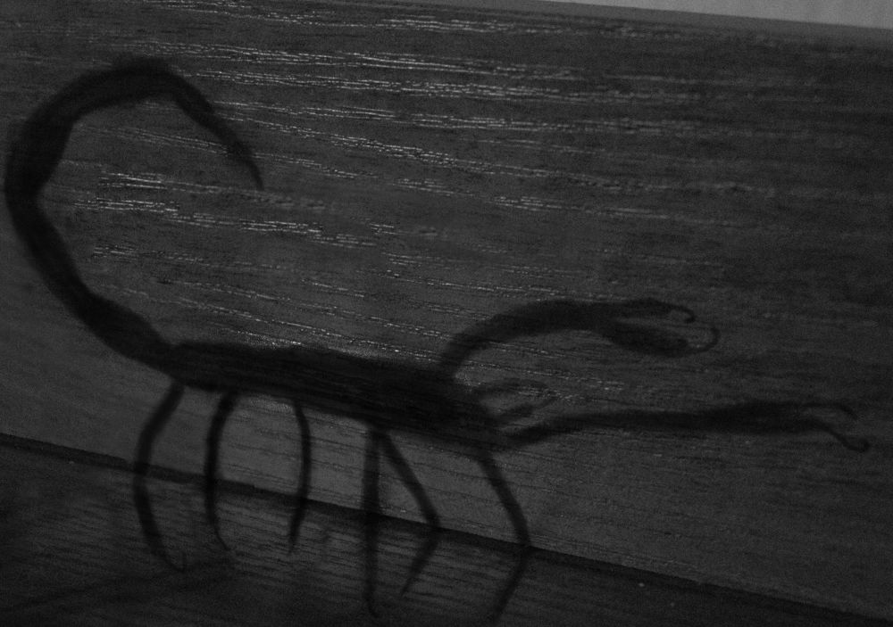 Тень Скорпиона