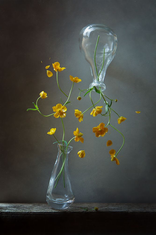 весенняя дихотомия