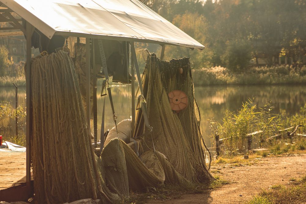 Photograph by Alisa Black