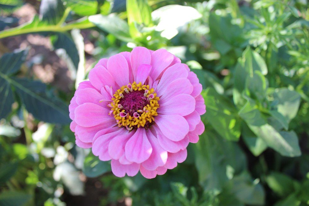 Прекрасное рядом