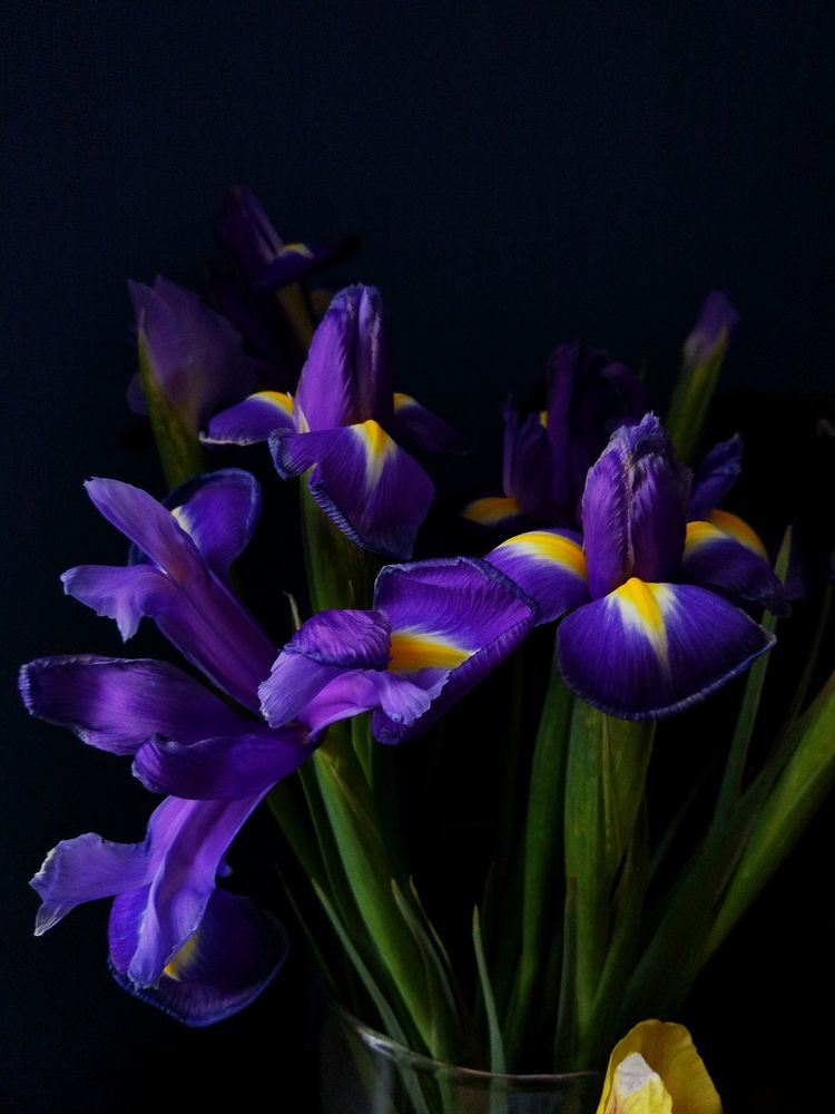 Запах весны