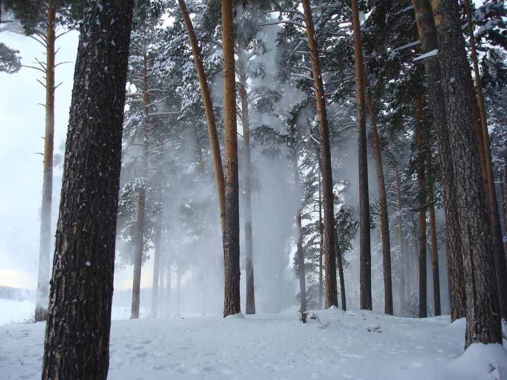 Photograph by Ольга Мокрова