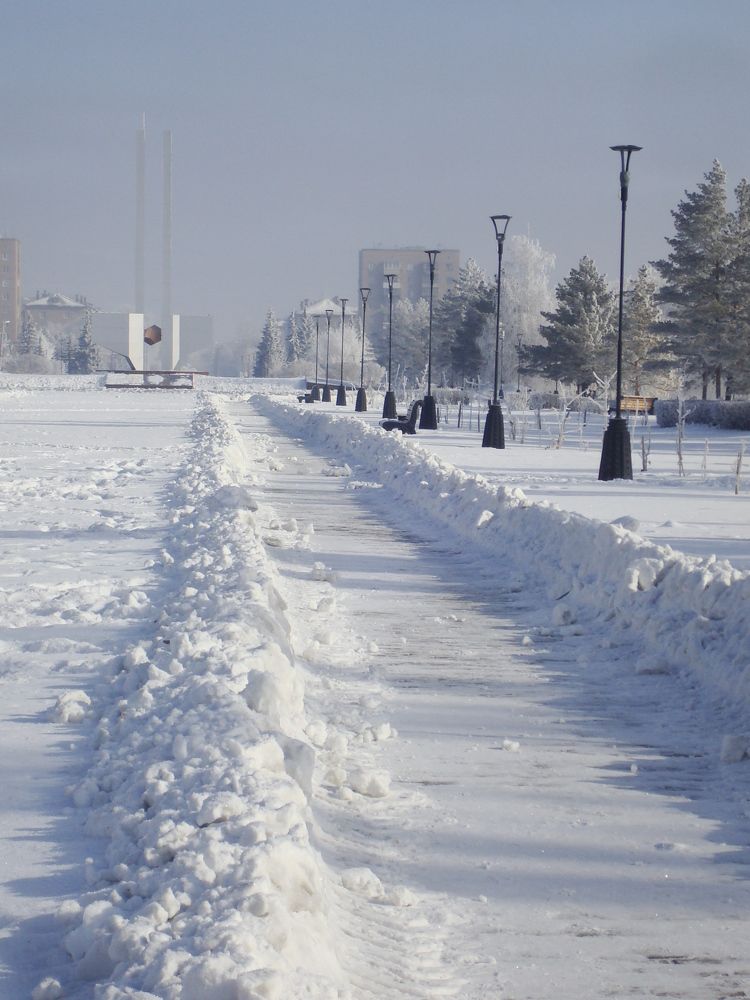 Зимняя аллея