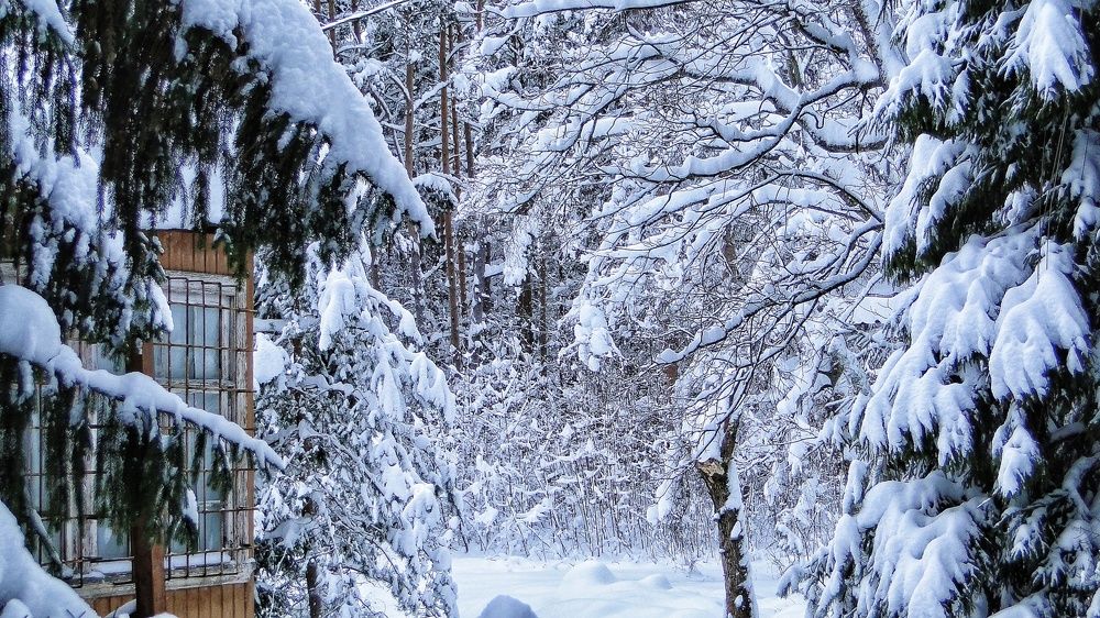 Пора зимовать в лето
