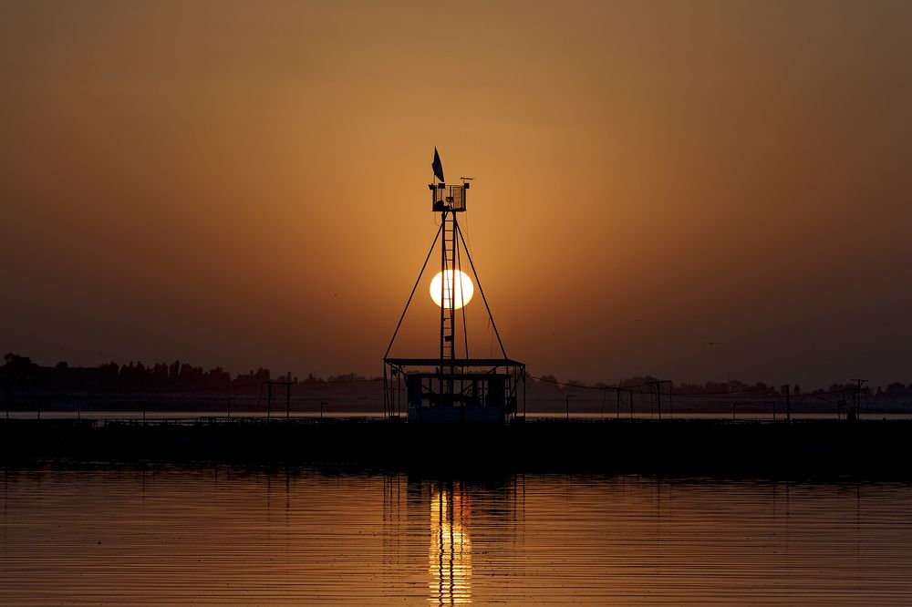 Photograph by Чунина Наталья