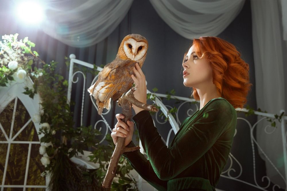 Сова и Дама