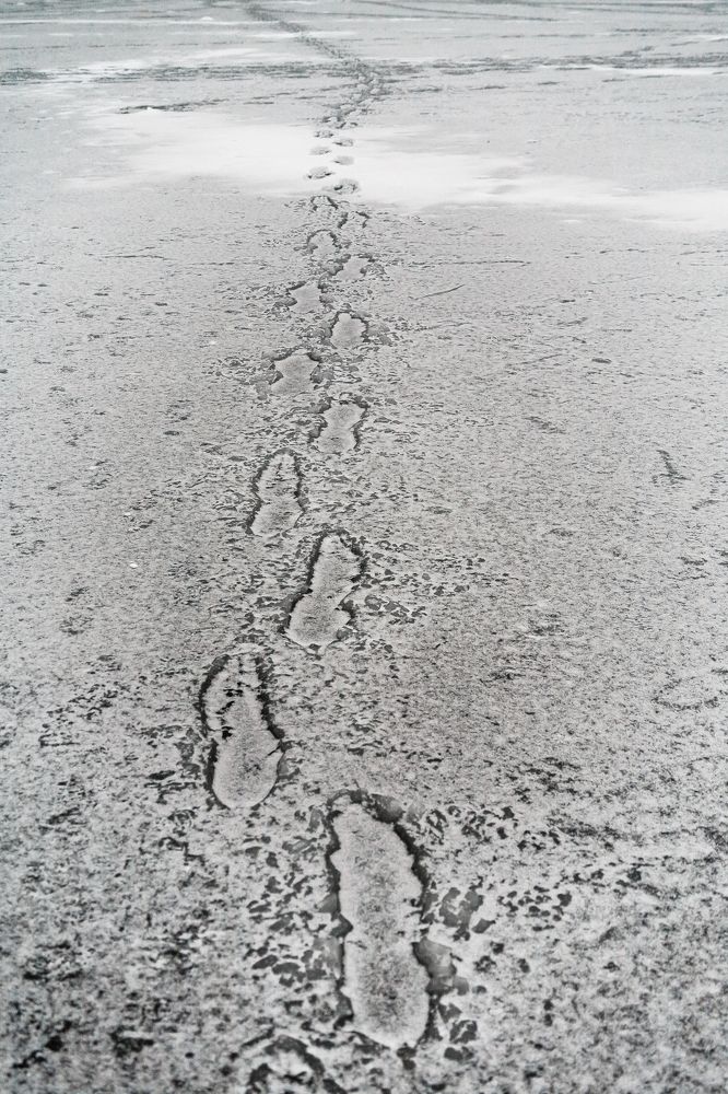 Следы на снегу