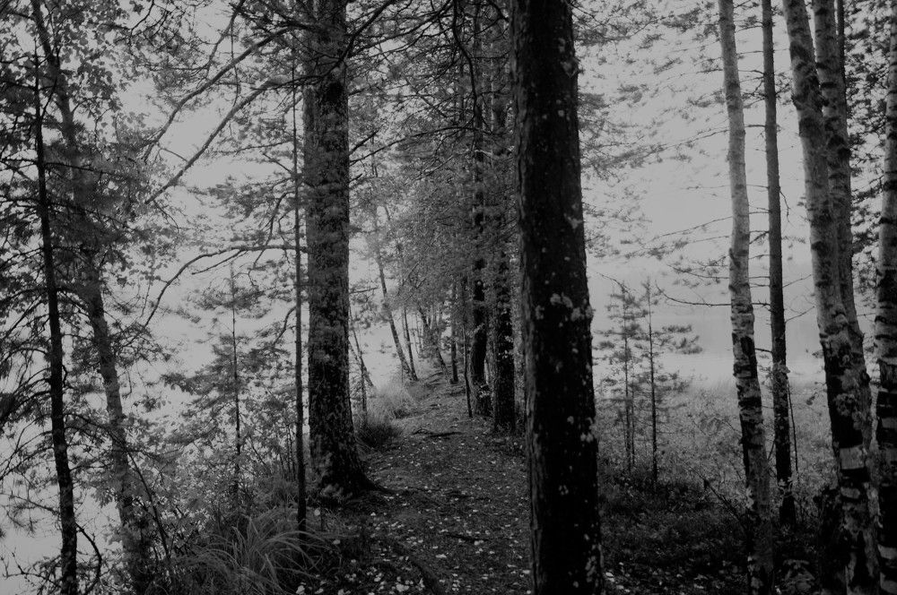 Перспектива