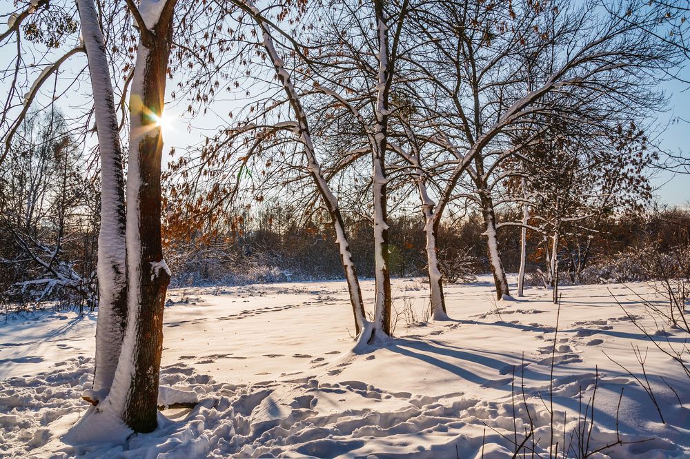 Игра солнца и снега