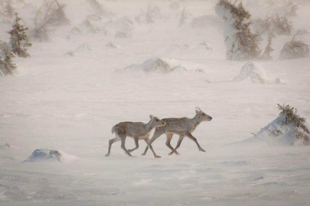 Photograph by Михаил Агульник