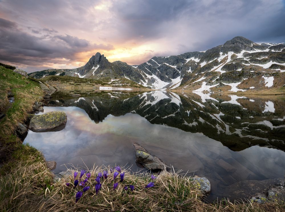 Reflection in the lake
