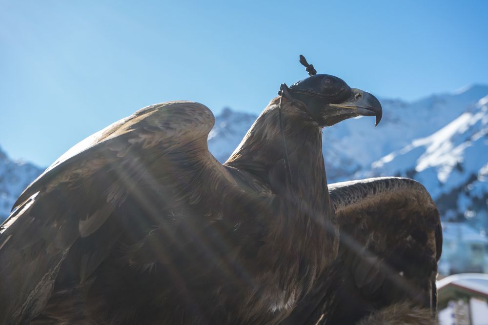 Photograph by Andrzej Orlowski