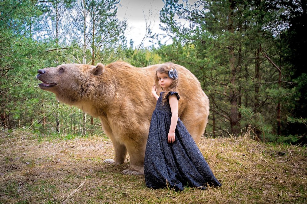 Маша и Медведь