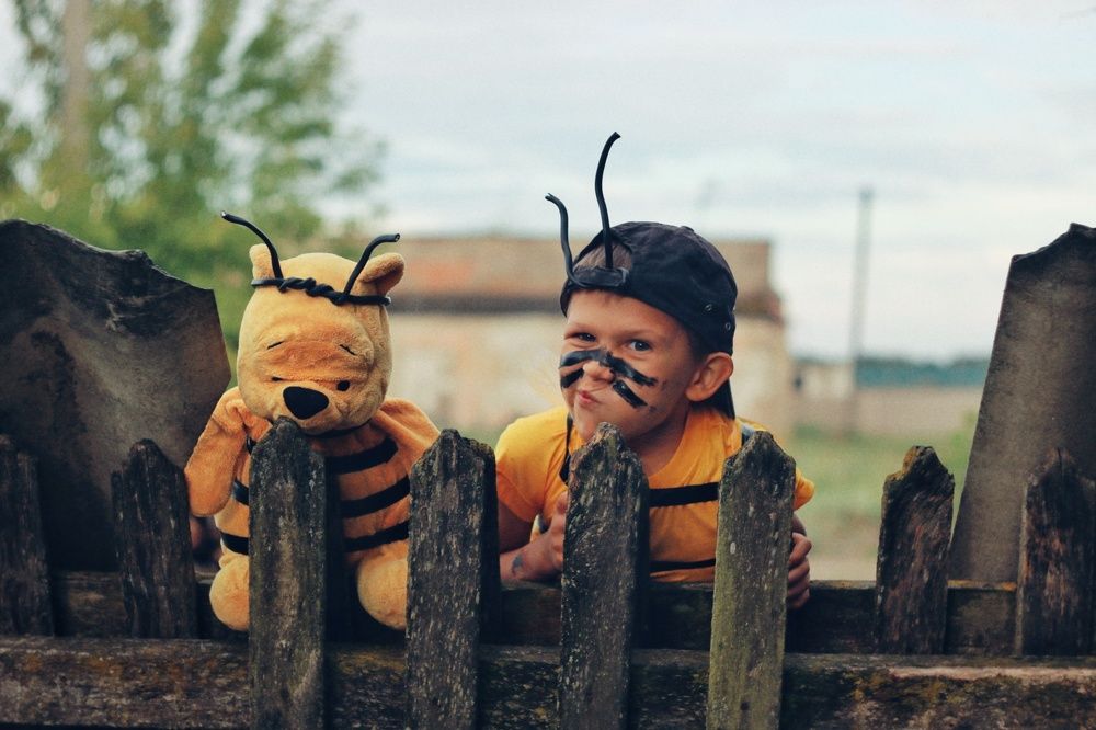 Охота за мёдом