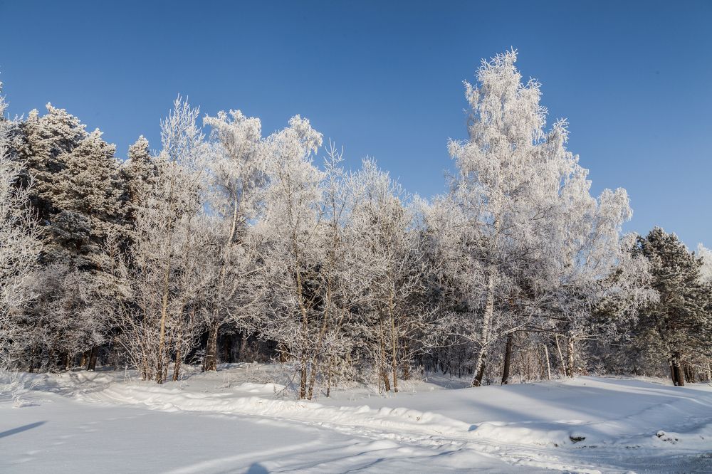 Photograph by Александр Лапшин