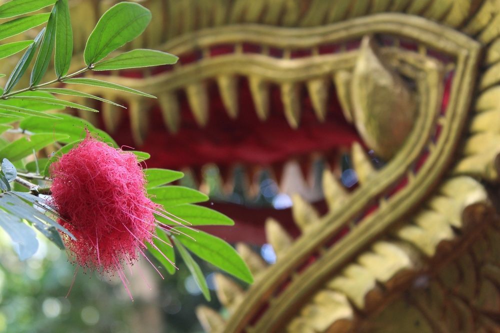 Красавица и чудовище.