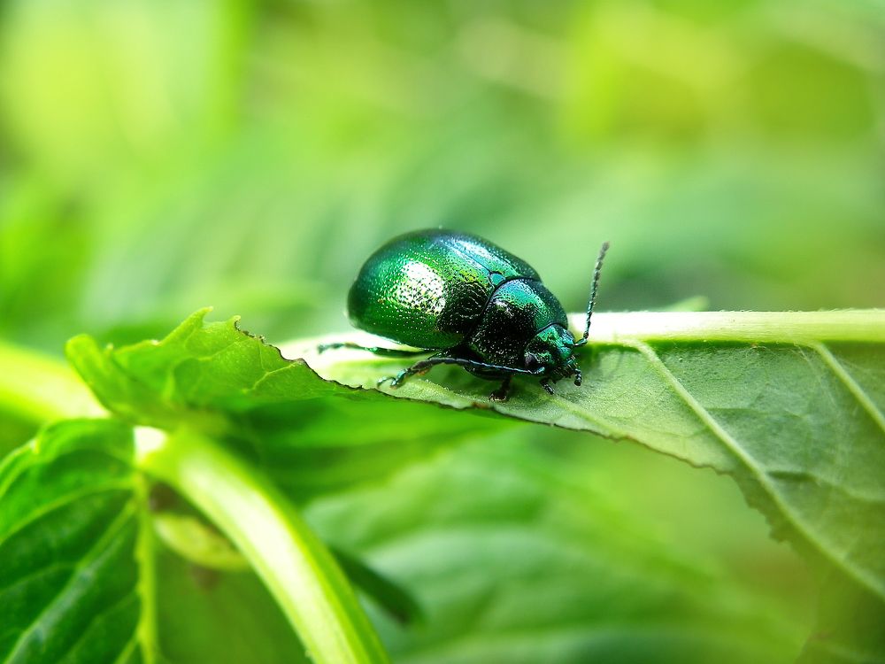 Photograph by Олеся