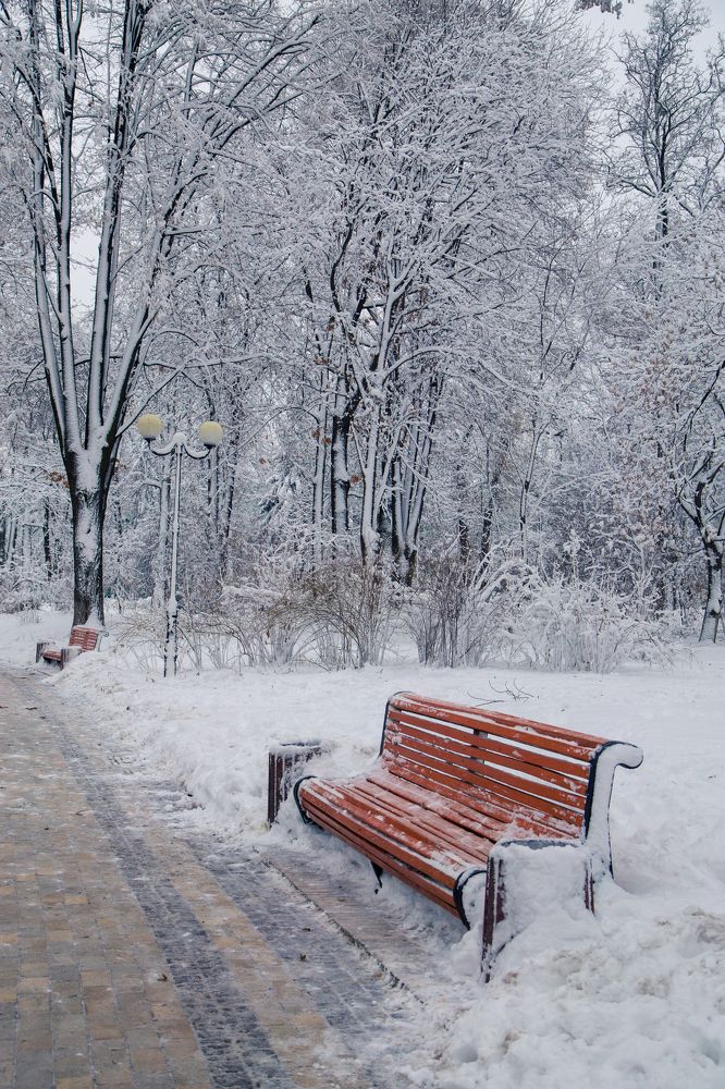 Photograph by Юлия Карась