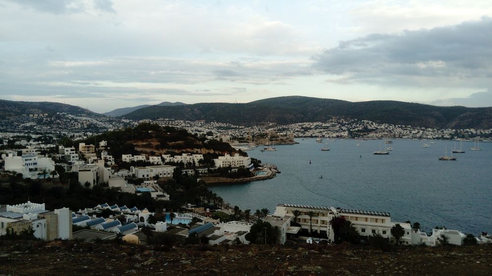 Photo #2894990