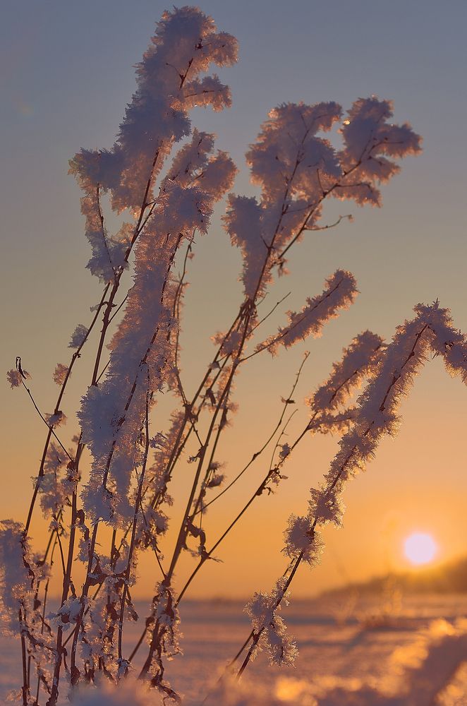 закатное солнце