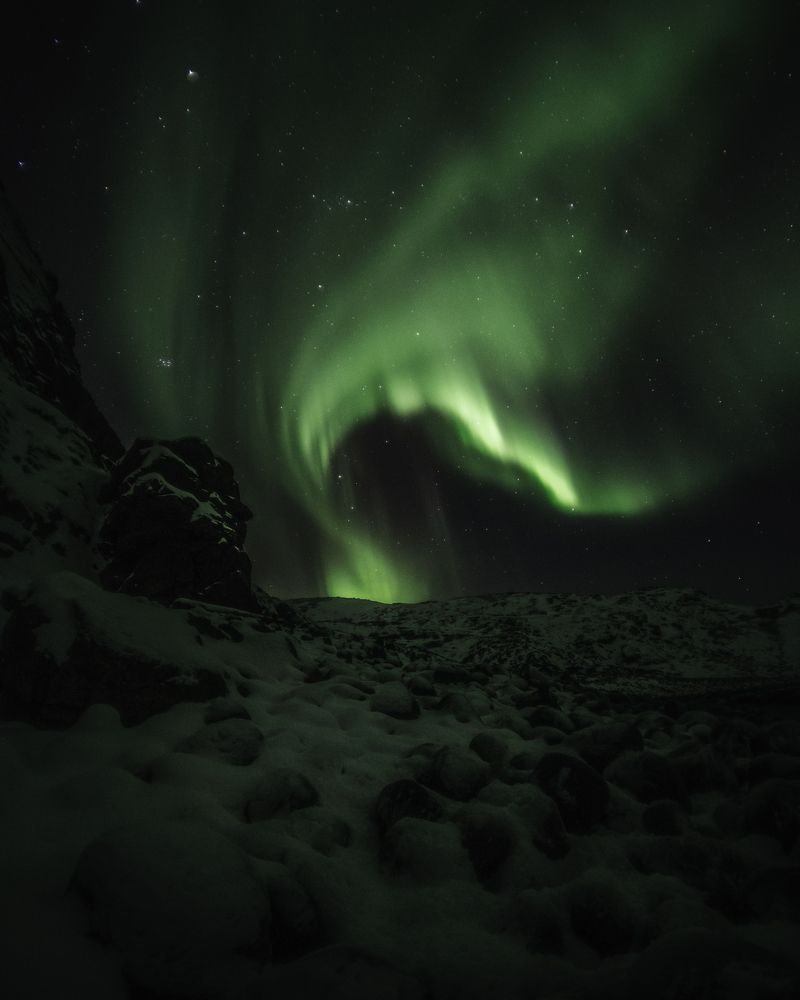 Королева ночи