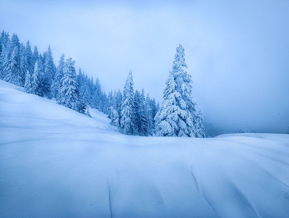 Photograph by Ilian Bozanov