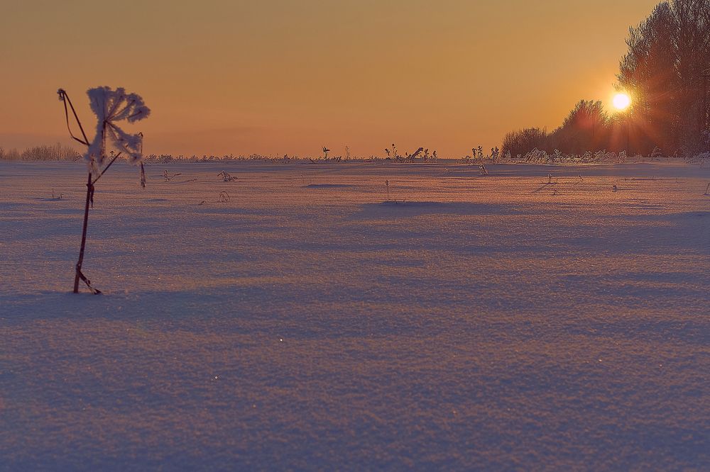 закат в поле