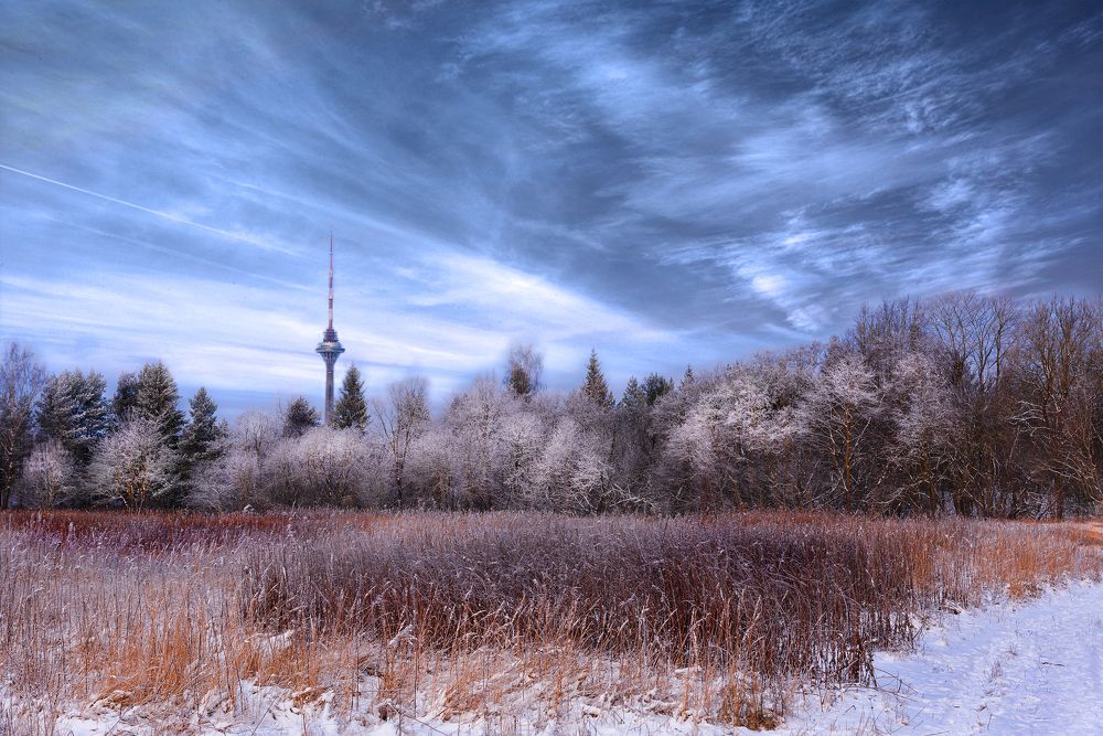 Зимняя  сказка