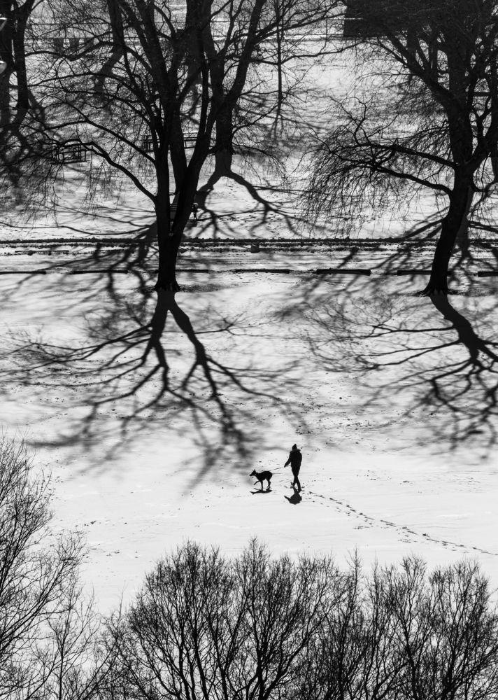 Light Shadow and Snow
