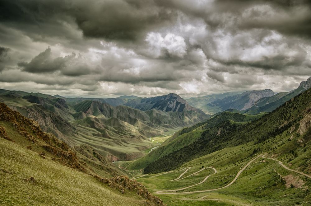 Перевал 33 попугая