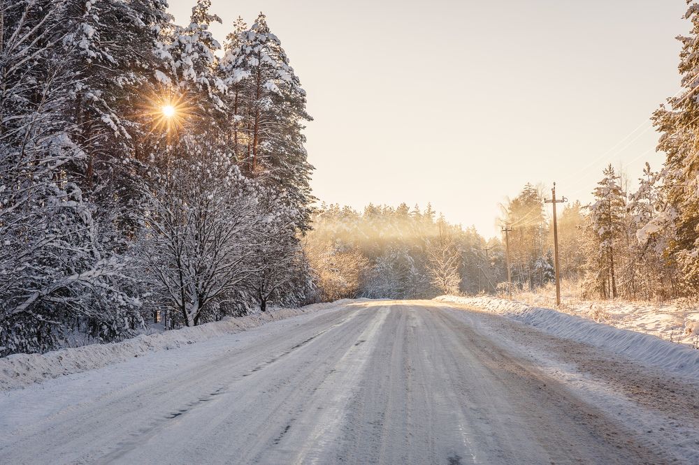 Дорога через лес