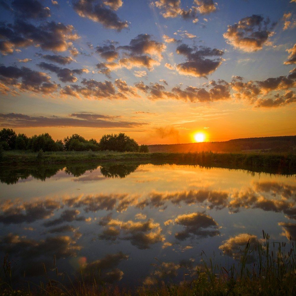 Закат на пруду