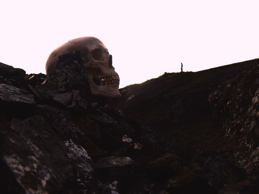 The last man