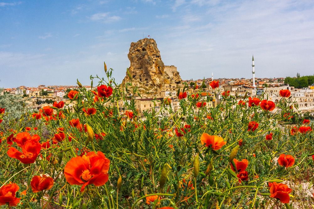 Срединная крепость в цвету