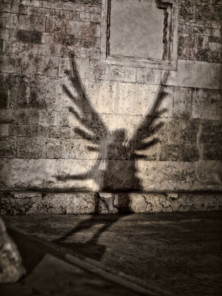 Angel's Shadow