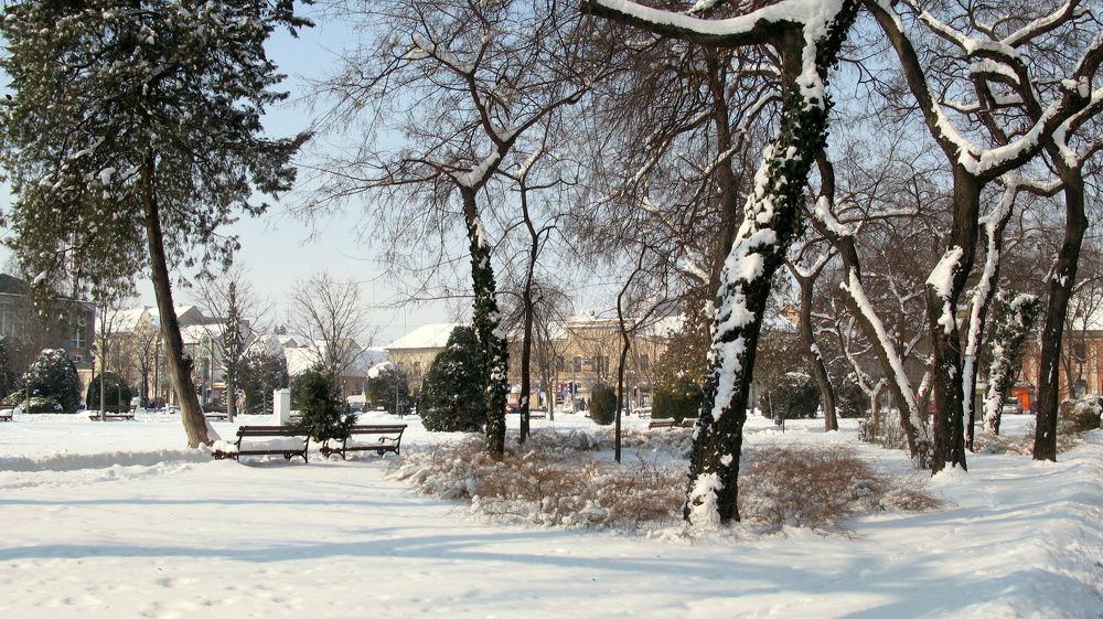 Winter in Sombor, Serbia