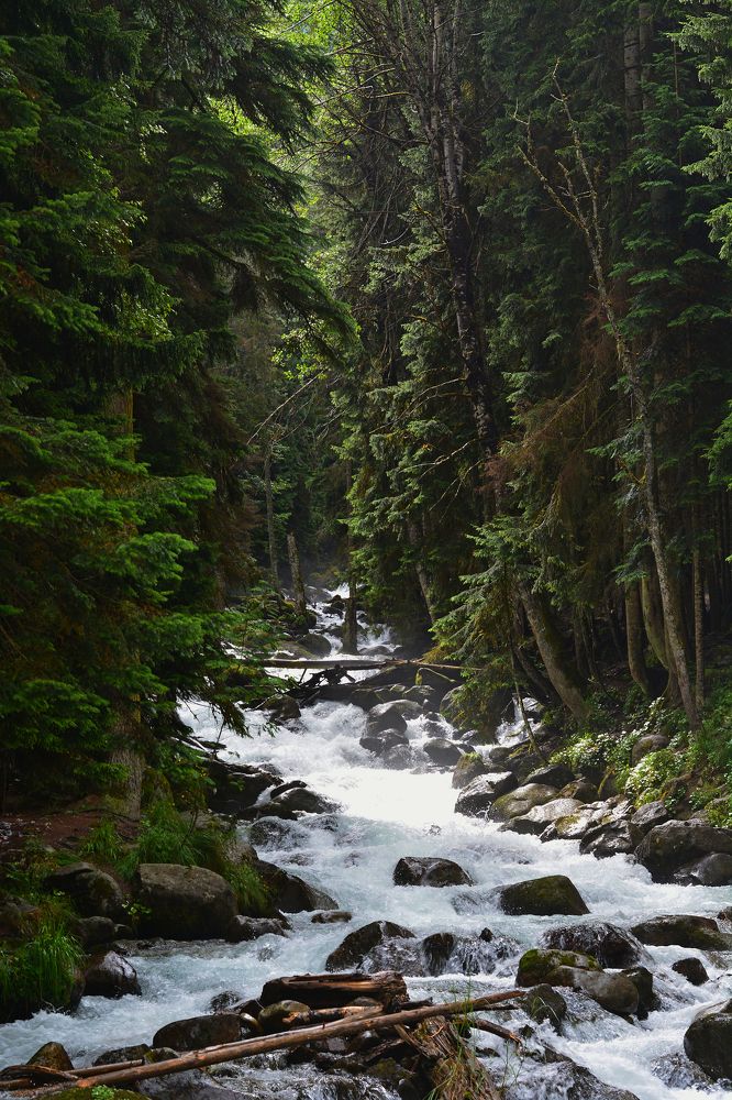 Photograph by Анатолий Орлов