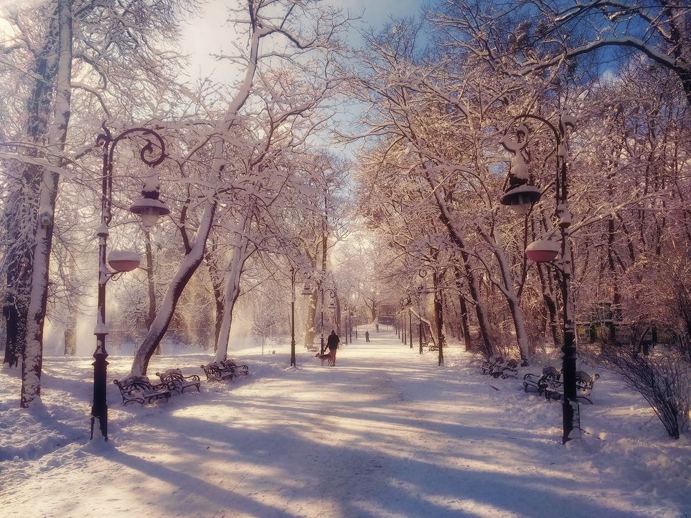 Рождественские истории