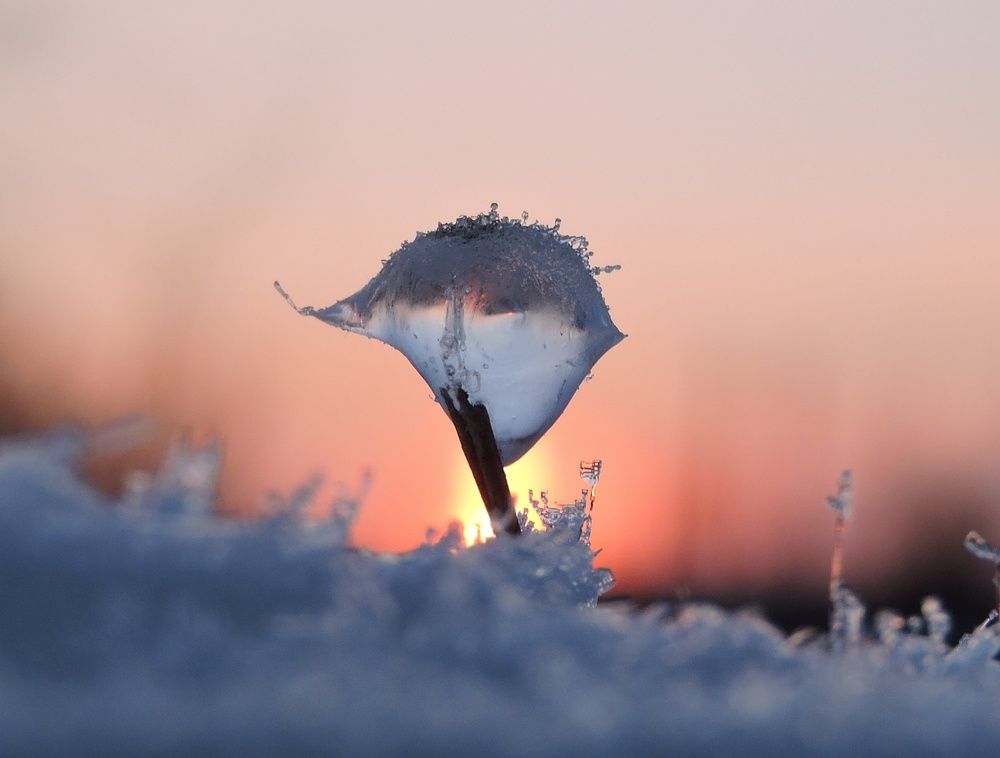 Загадочная жизнь льда