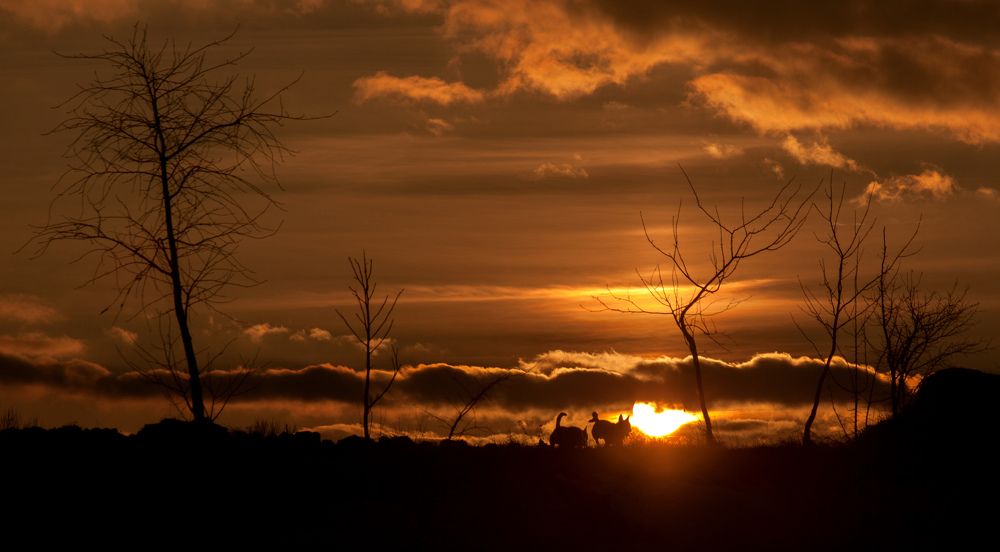 Волшебное солнце