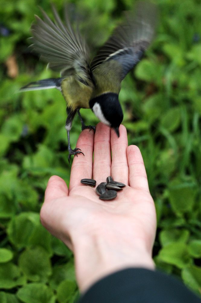 Photograph by Шевчук Елена Константиновна