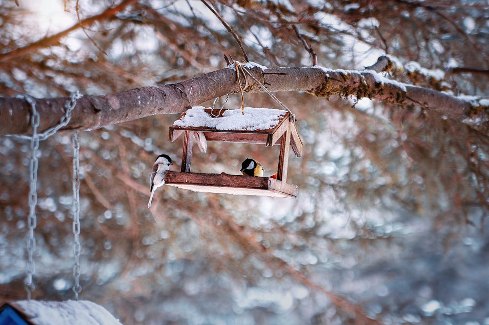 Photograph by Анастасия Корбут