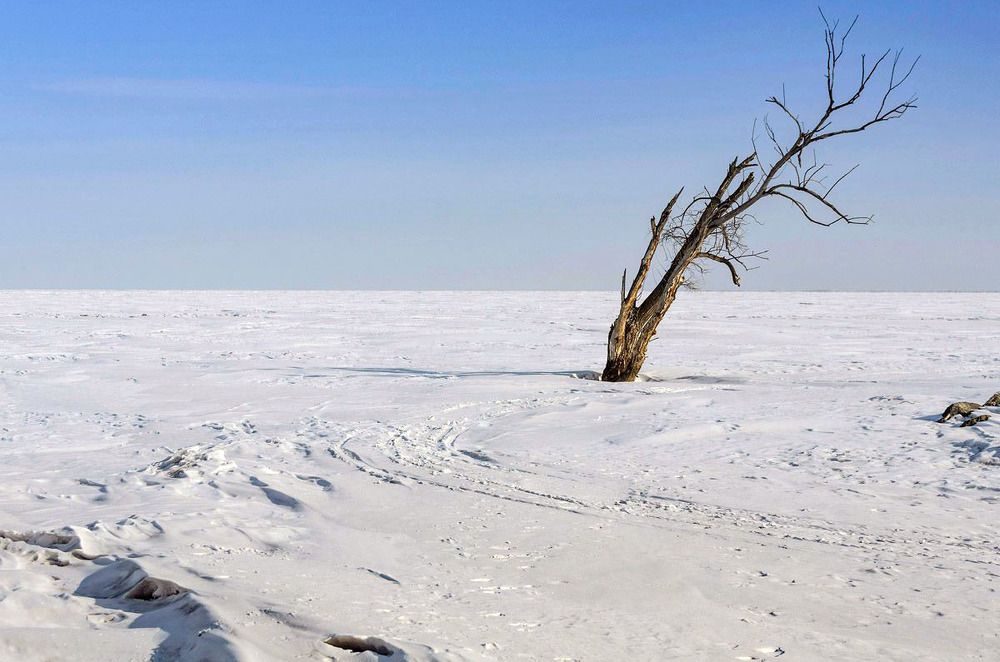 Ханкайское одиночество
