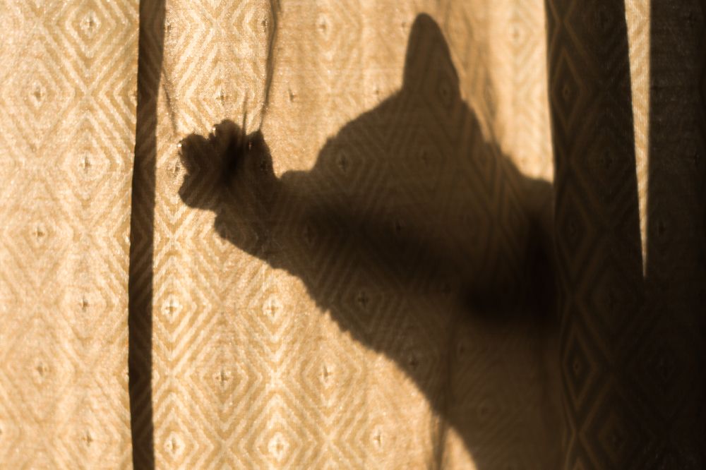 Photograph by Соша Грухина