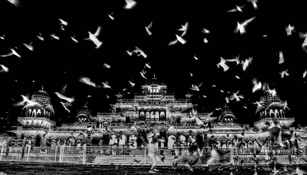 Photograph by kazi arifuzzaman