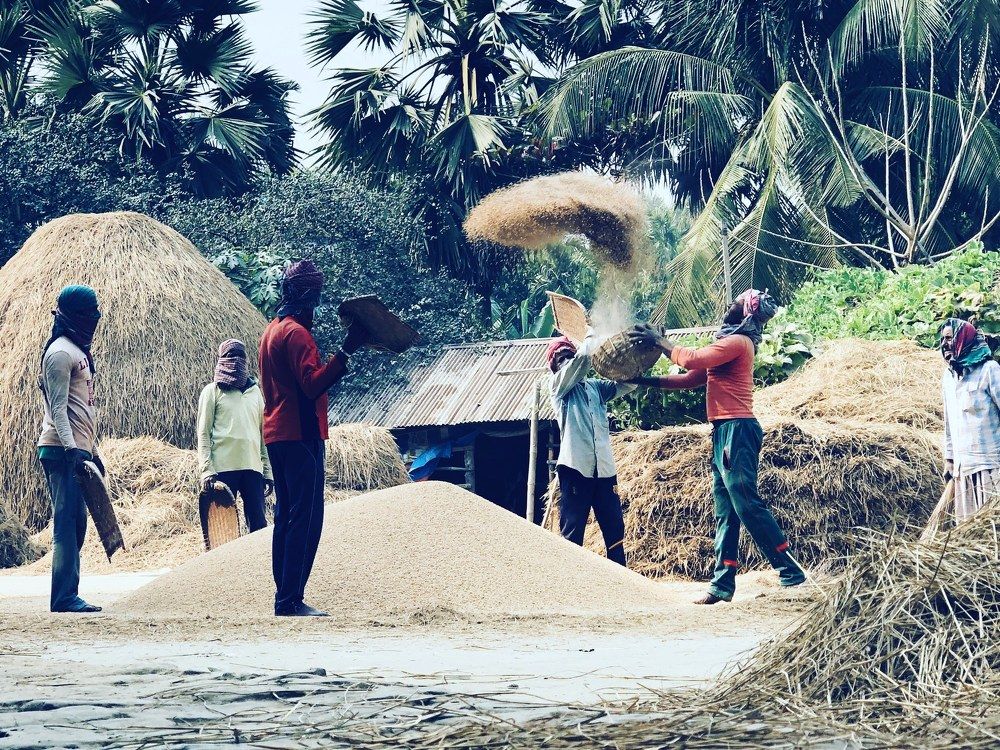 Winter in Bangladeshi villages.
