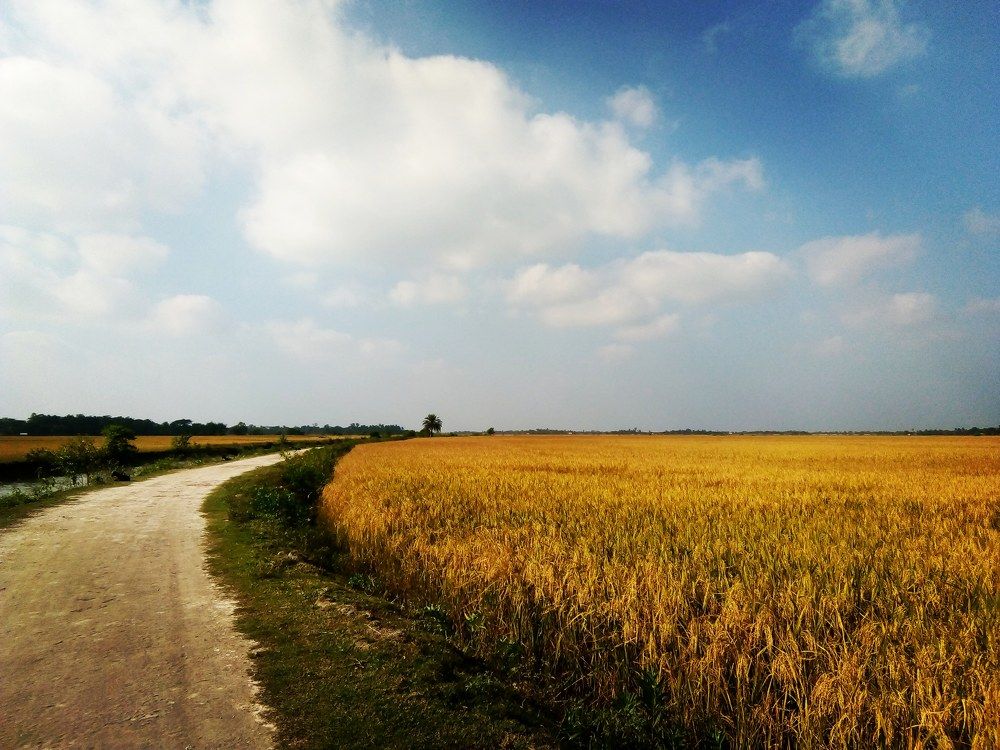 Beauty of Bangladesh