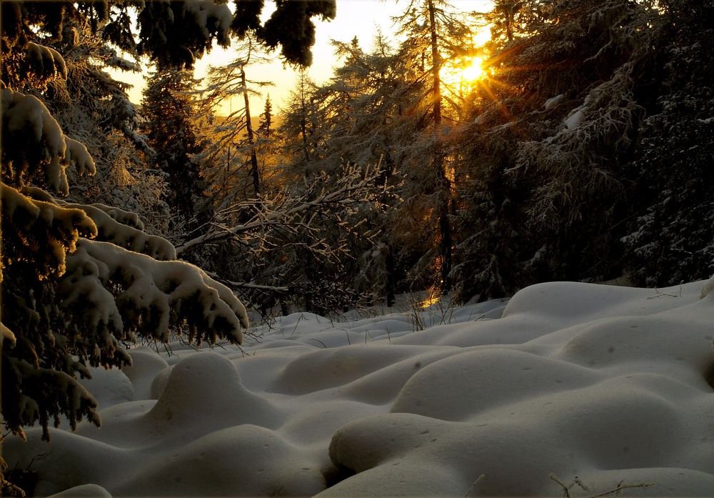 Photograph by Игорь Лукин